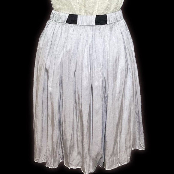 NWT Helios & Luna Silk Pleated Skirt - Picture 5 of 8